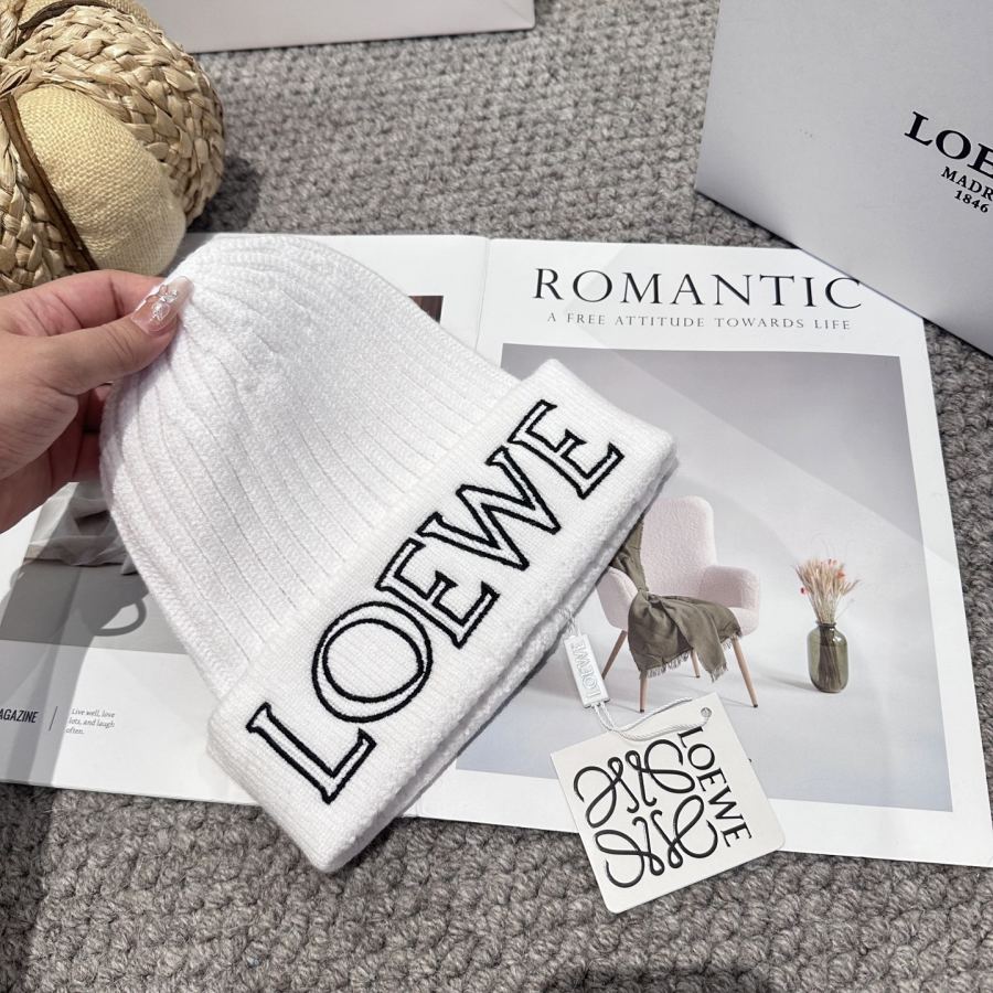 1:1 Replica Loewe hat LOEWE New 4 — Premium Replica — photo 5