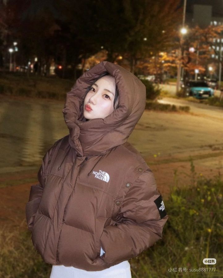 1:1 Replica The North Face Down Jackets north face — Premium Replica — photo 3