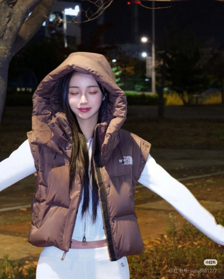 1:1 Replica The North Face Down Jackets north face — Premium Replica — photo 4