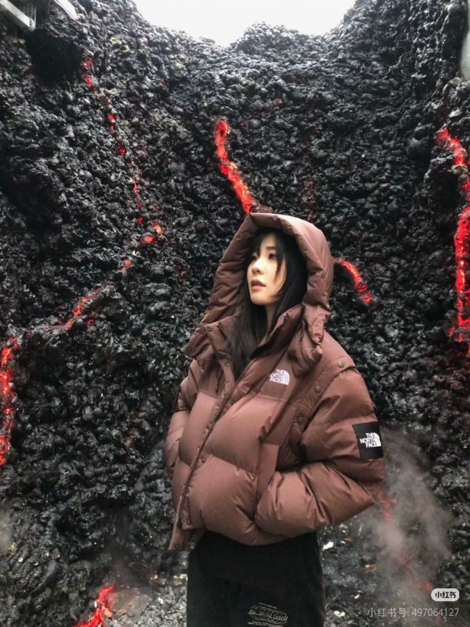 1:1 Replica The North Face Down Jackets north face — Premium Replica — photo 5