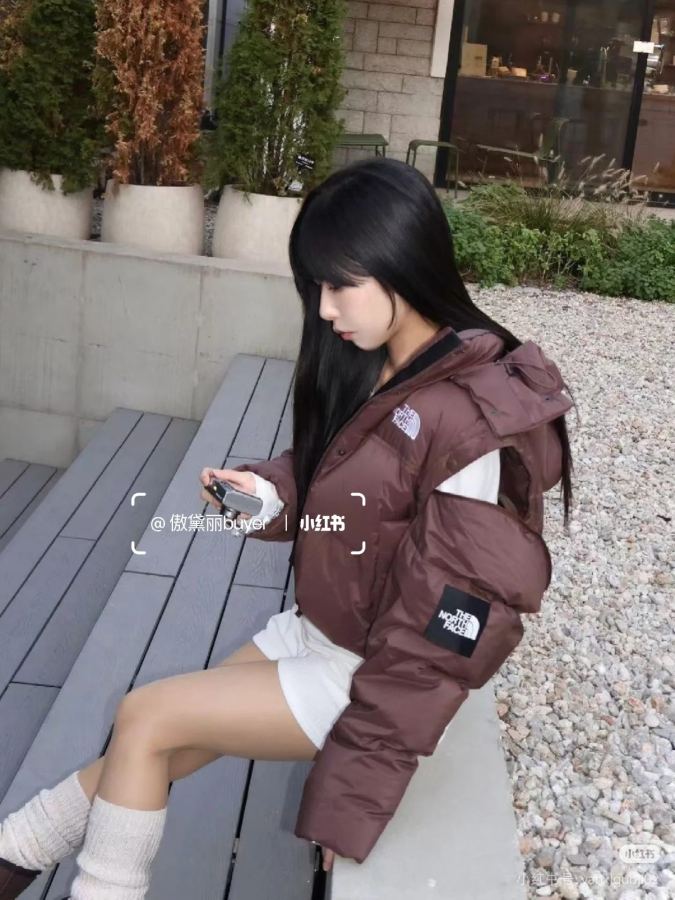 1:1 Replica The North Face Down Jackets north face — Premium Replica — photo 8