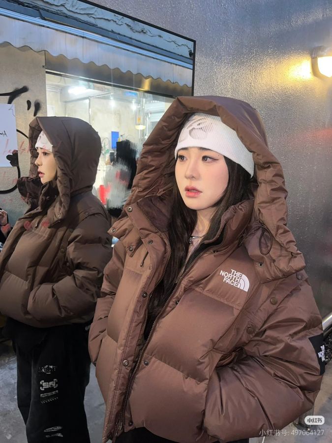 1:1 Replica The North Face Down Jackets north face — Premium Replica — photo 6