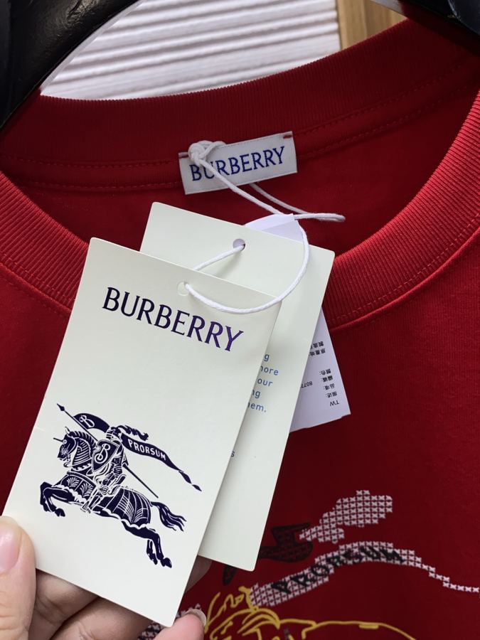 1:1 Replica Burberry men SS Men's T — Premium Replica — photo 6