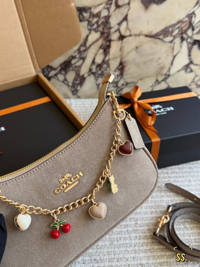 1:1 Replica COACH bag size 24*13*7cm — AAA Quality Replica — photo 3