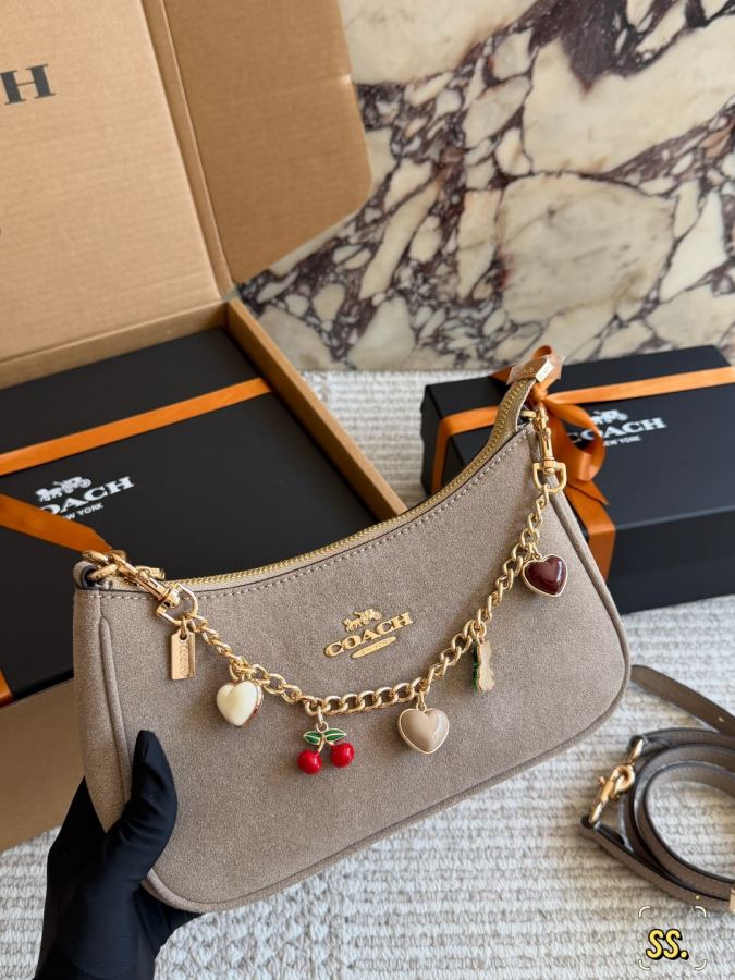 1:1 Replica COACH bag size 24*13*7cm — AAA Quality Replica — photo 4