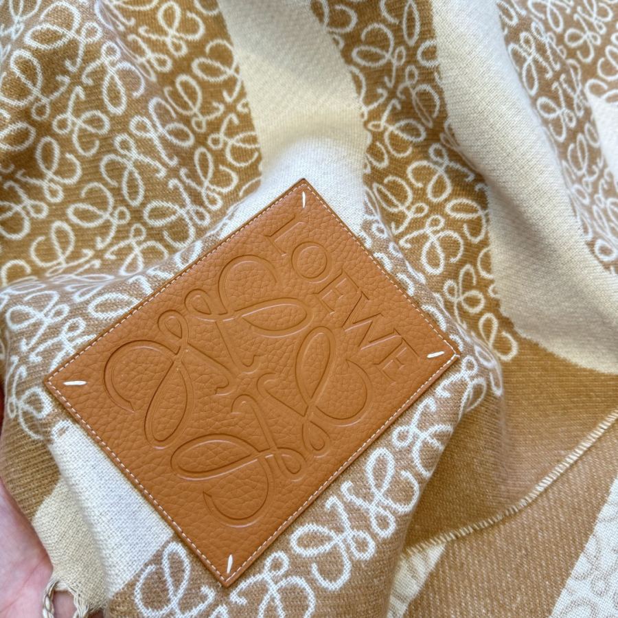 1:1 Replica Loewe scarf ¥ — Premium Replica — photo 9