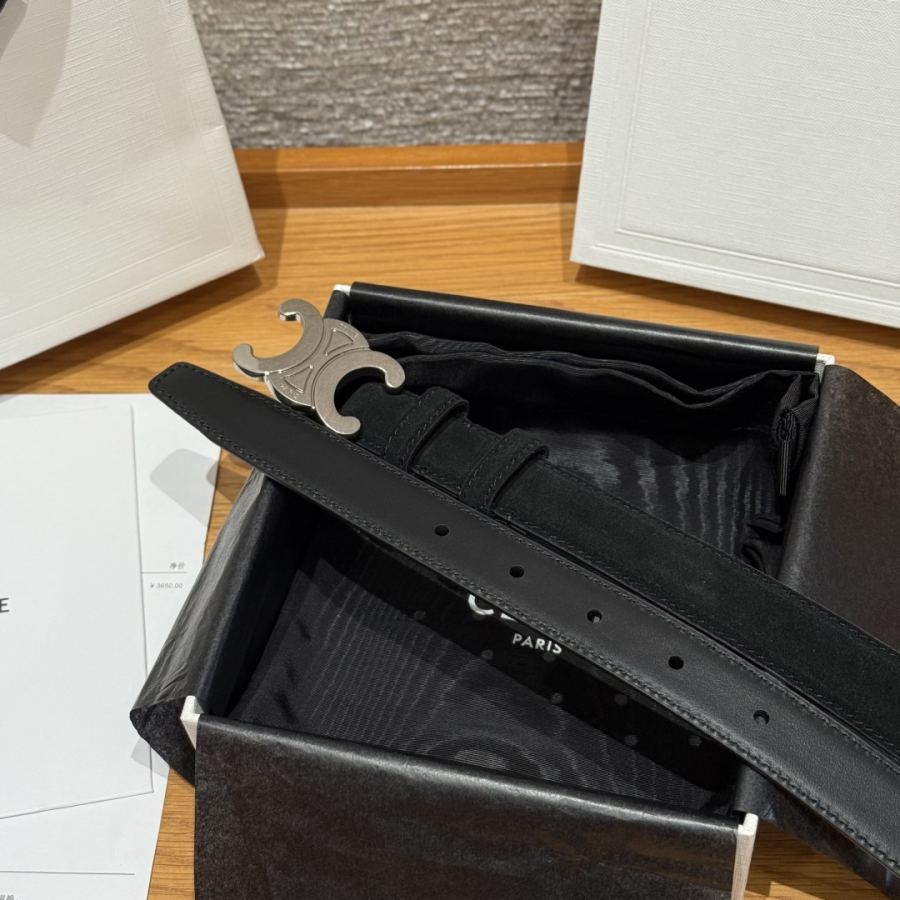 1:1 Replica CELINE belt Celine TRIOMPHE — AAA Quality Replica — photo 5