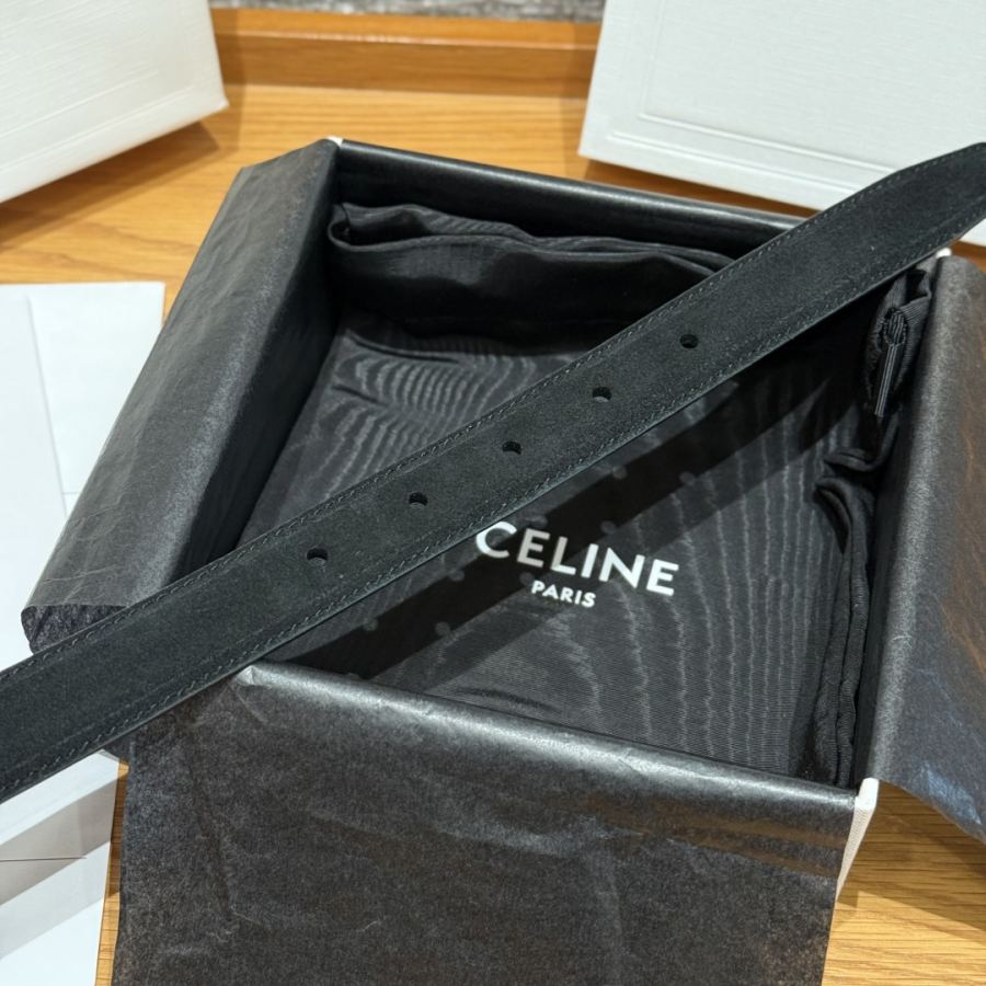 1:1 Replica CELINE belt Celine TRIOMPHE — AAA Quality Replica — photo 7