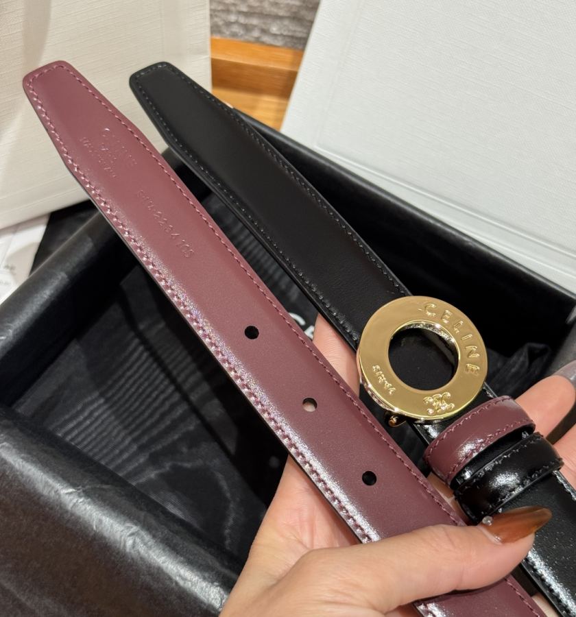 1:1 Replica CELINE belt DISC 25 — AAA Quality Replica — photo 6