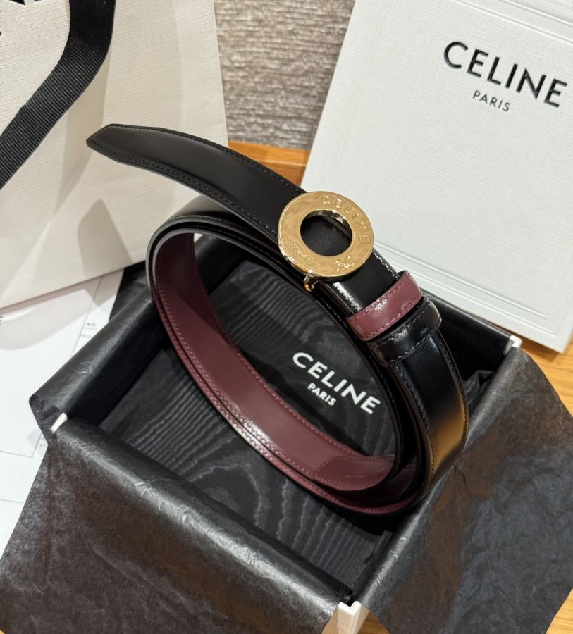 1:1 Replica CELINE belt DISC 25 — AAA Quality Replica — photo 3