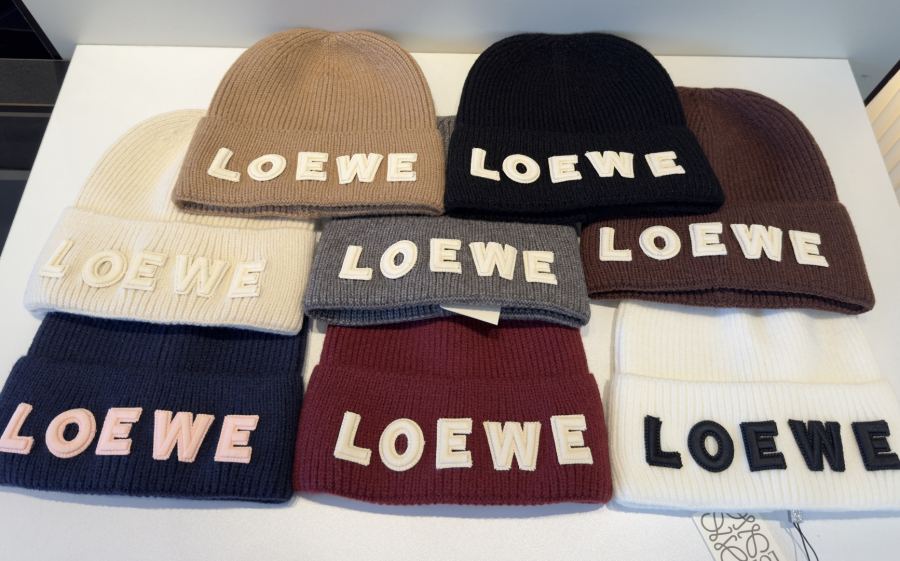 1:1 Replica Loewe hat Loewe — Premium Replica — photo 9