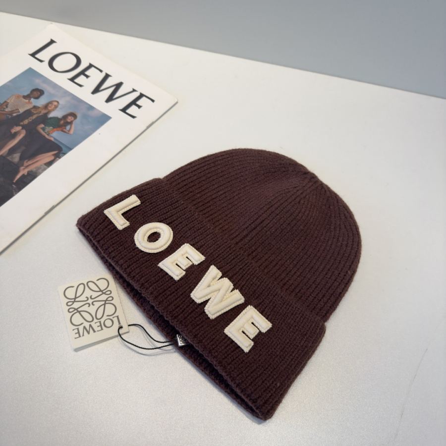 1:1 Replica Loewe hat Loewe — Premium Replica — photo 4