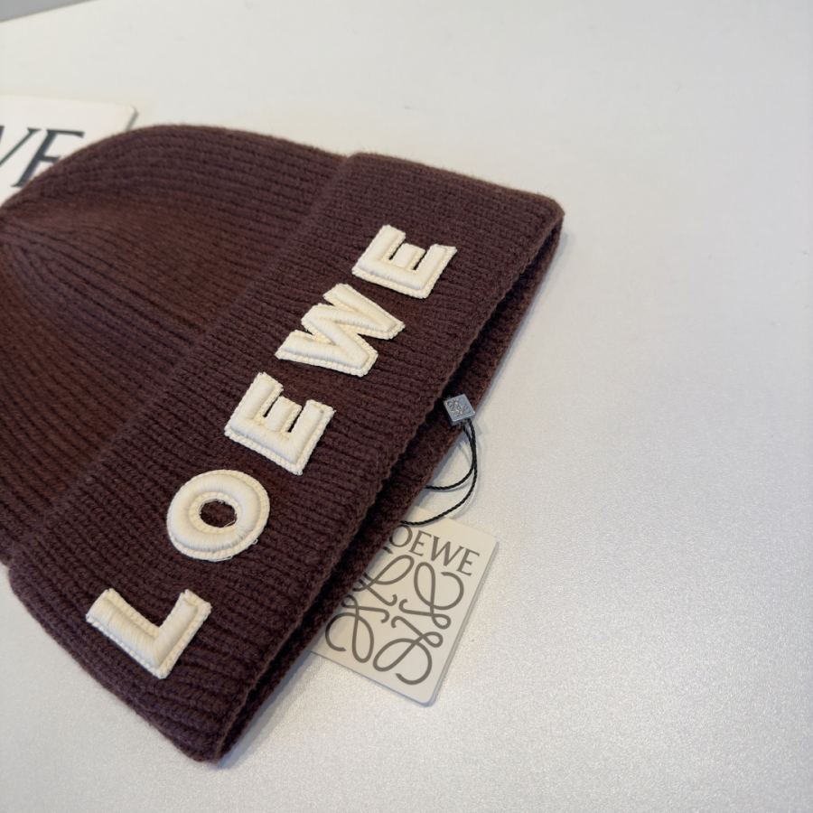 1:1 Replica Loewe hat Loewe — Premium Replica — photo 6