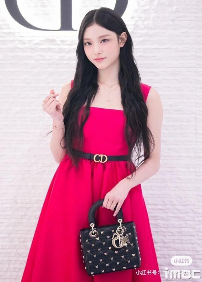 1:1 Replica Dior bag Dior W — AAA Quality Replica — photo 2