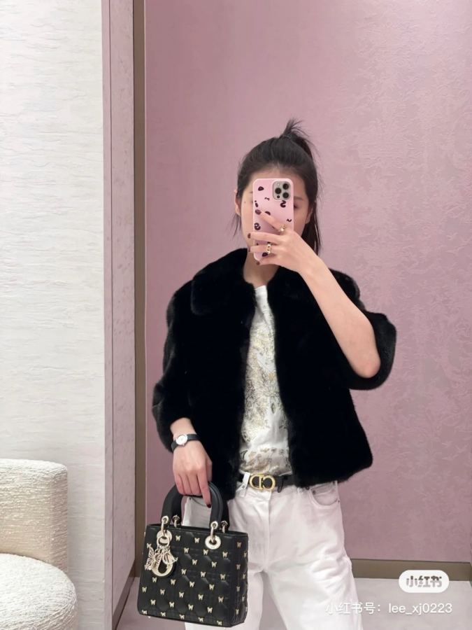 1:1 Replica Dior bag Dior W — AAA Quality Replica — photo 3