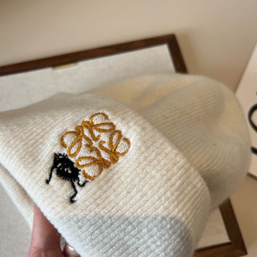 1:1 Replica Loewe hat Special batch ¥ — 1:1 Replica — photo 5