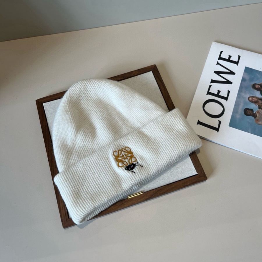 1:1 Replica Loewe hat Special batch ¥ — Premium Replica — photo 2