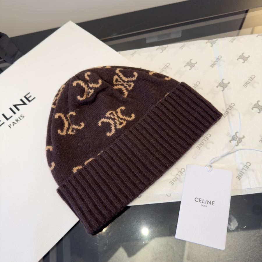 1:1 Replica Celine hat ¥ — Premium Replica — photo 9