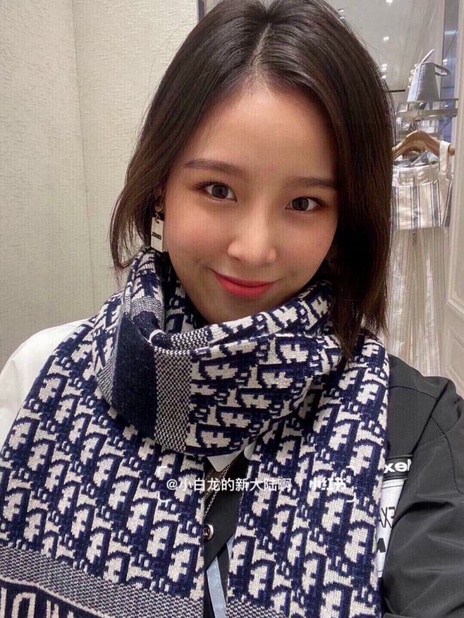 1:1 Replica Dior scarf Dior D 30*200cm — Premium Replica
