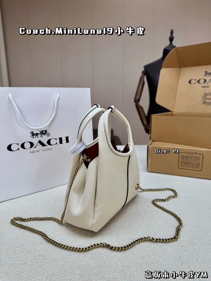 1:1 Replica COACH bag Calfskin upgraded version — 1:1 Replica — photo 6