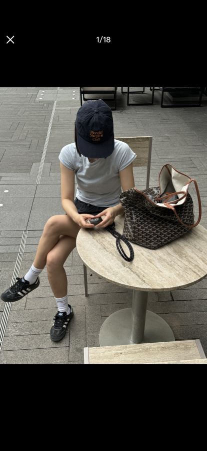 1:1 Replica Goyard bag goyard — Premium Replica — photo 7