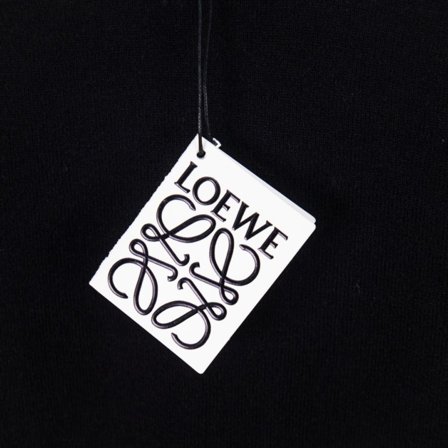 1:1 Replica Loewe men zp version — Premium Replica — photo 6