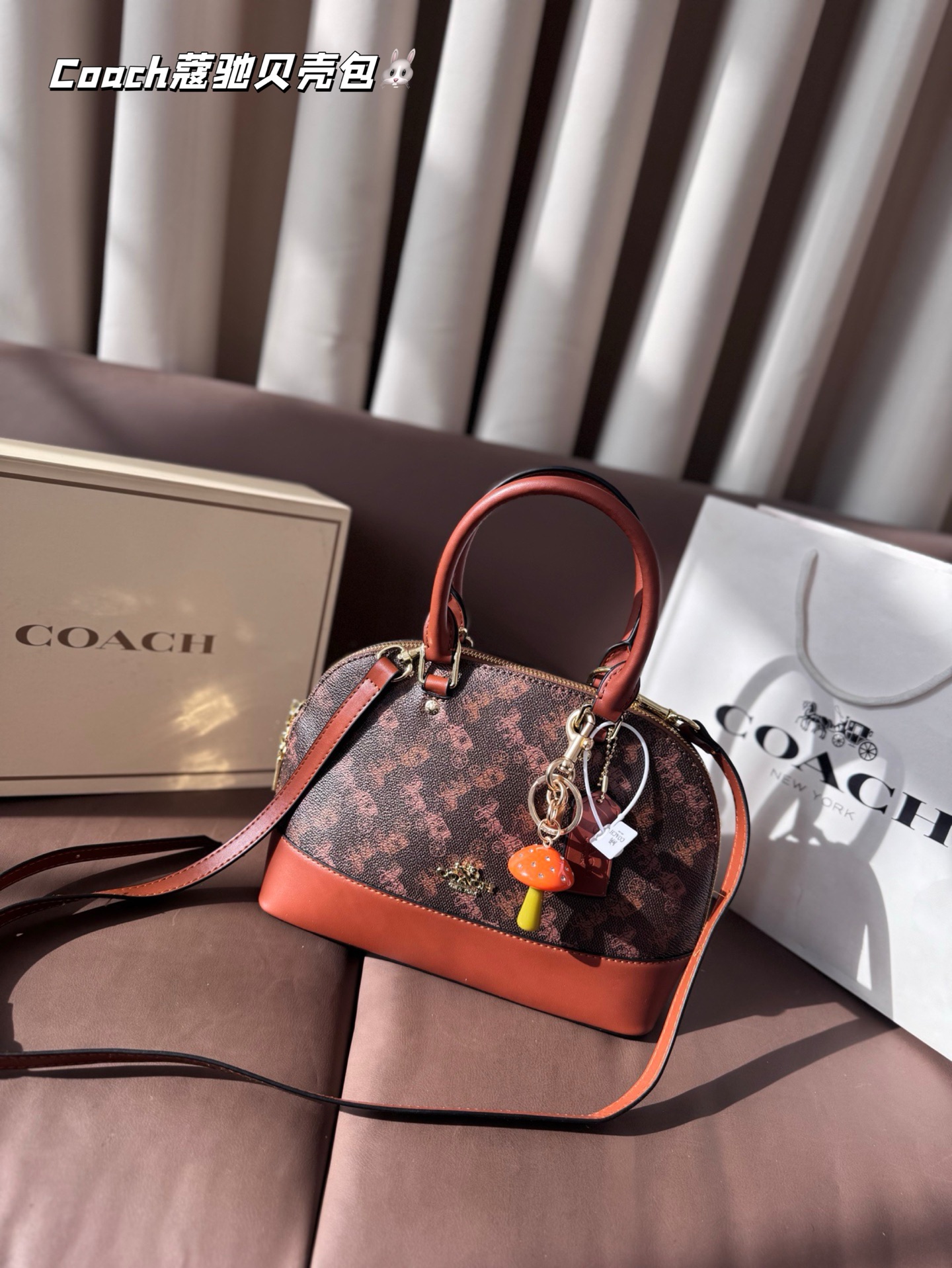 1:1 Replica COACH bag Coach — AAA Quality Replica