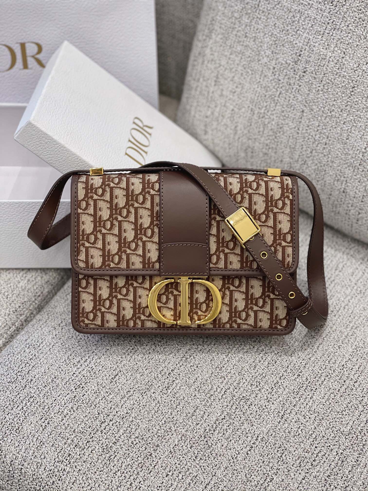 1:1 Replica Celine bag 𝐃𝐢𝟎 𝐫 𝐎𝐛𝐥𝐢𝐪𝐮𝐞 𝐌𝐨𝐧𝐭𝐚𝐢𝐠𝐞 — AAA Quality Replica