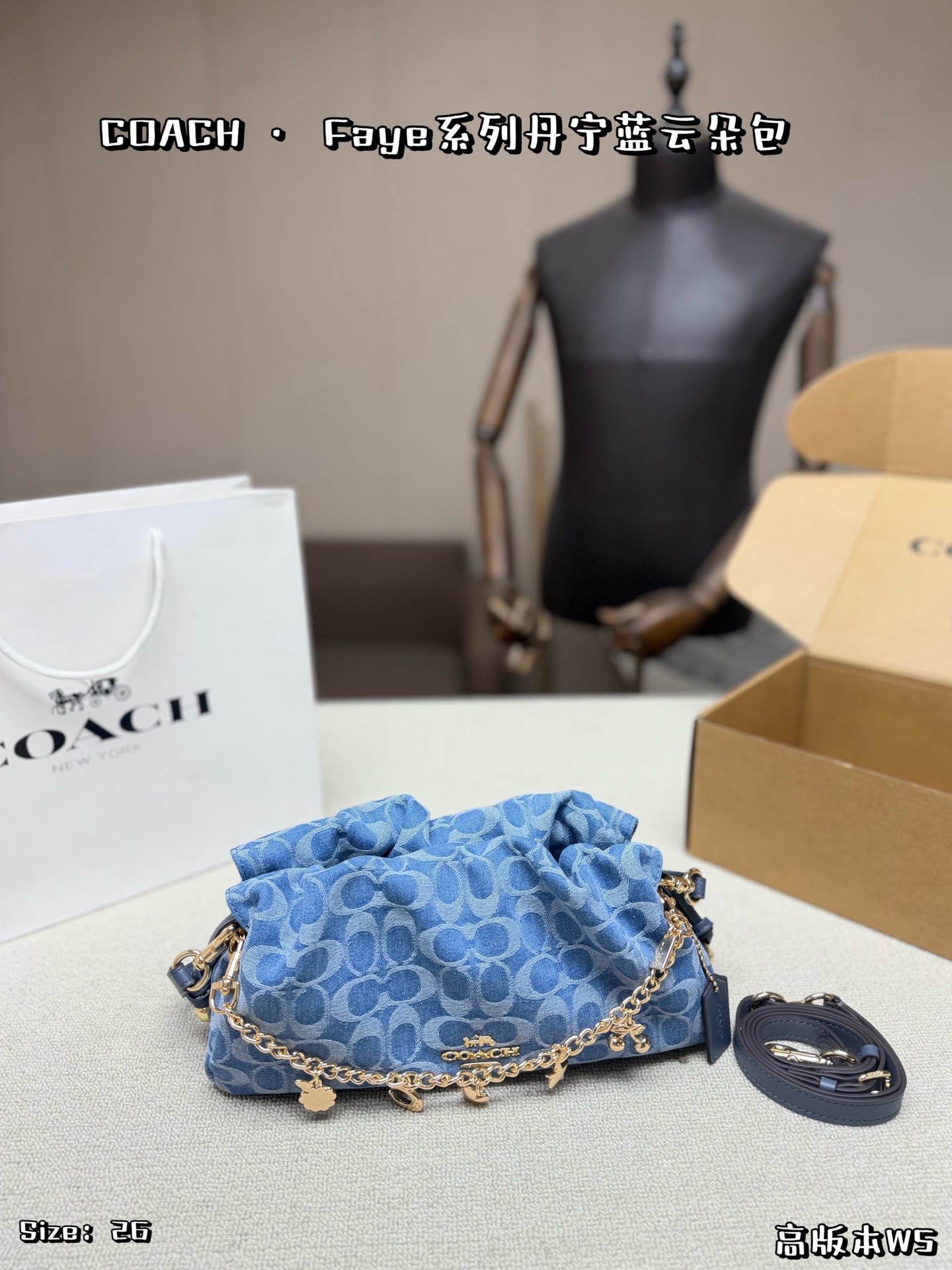 1:1 Replica COACH bag Comes with airplane case — 1:1 Replica