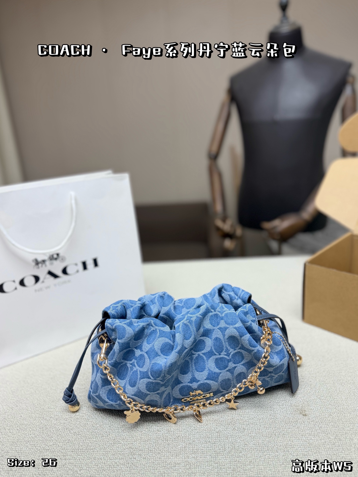 1:1 Replica COACH bag Comes with airplane case — Premium Replica