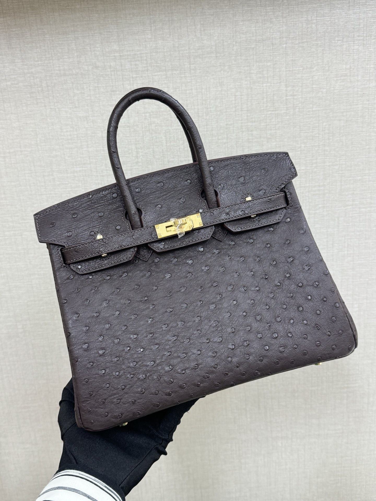 1:1 Replica Hermes bag Birkin25 — Premium Replica