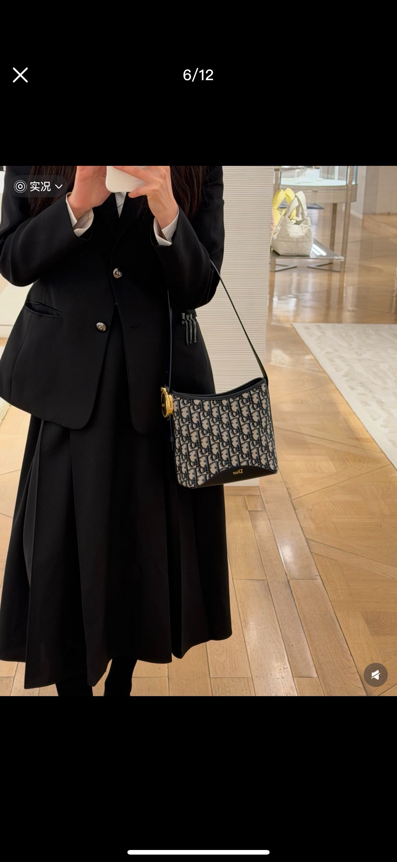 1:1 Replica Dior bag dior Medaillon — 1:1 Replica