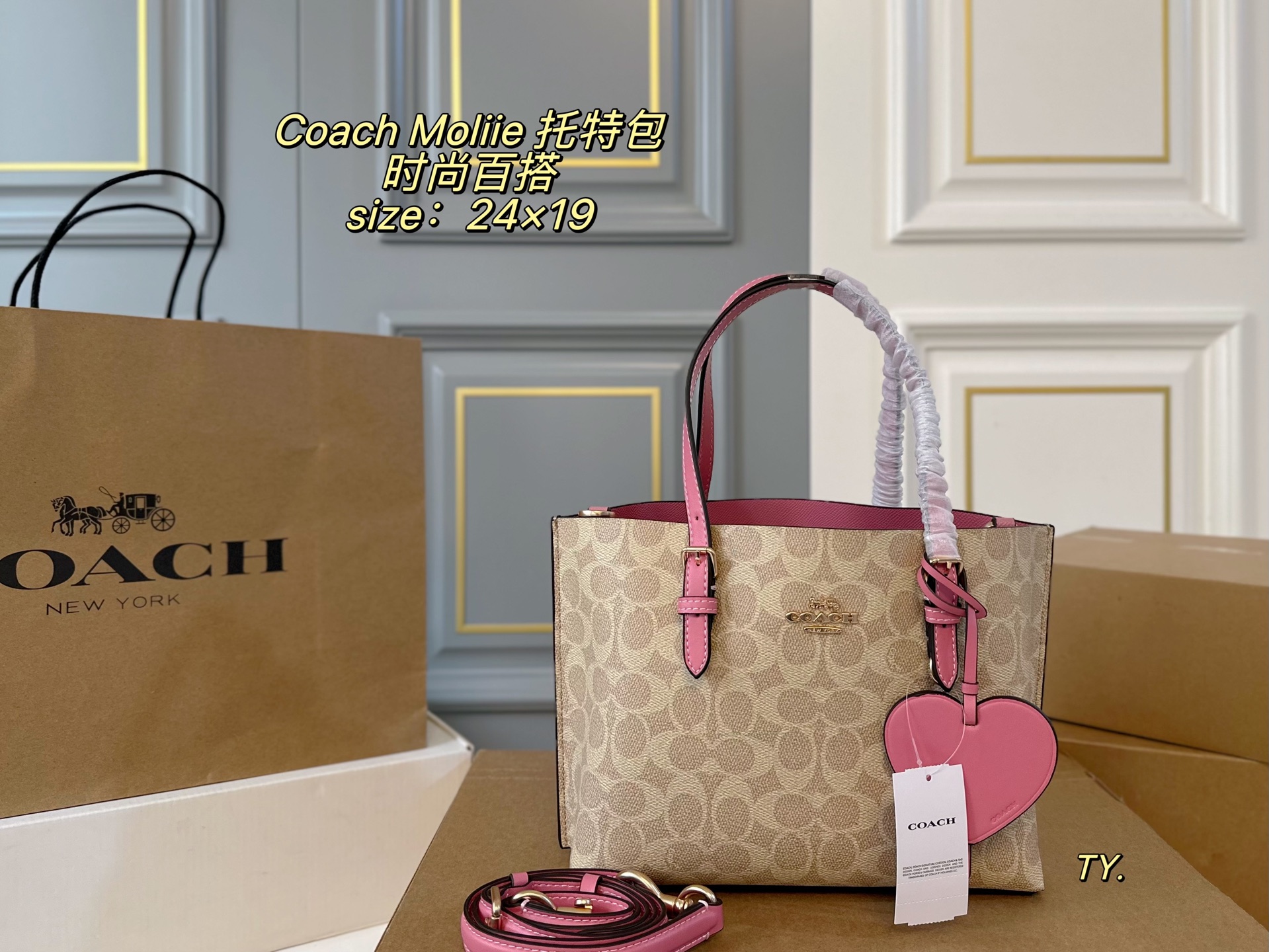 1:1 Replica COACH bag airplane box) — 1:1 Replica