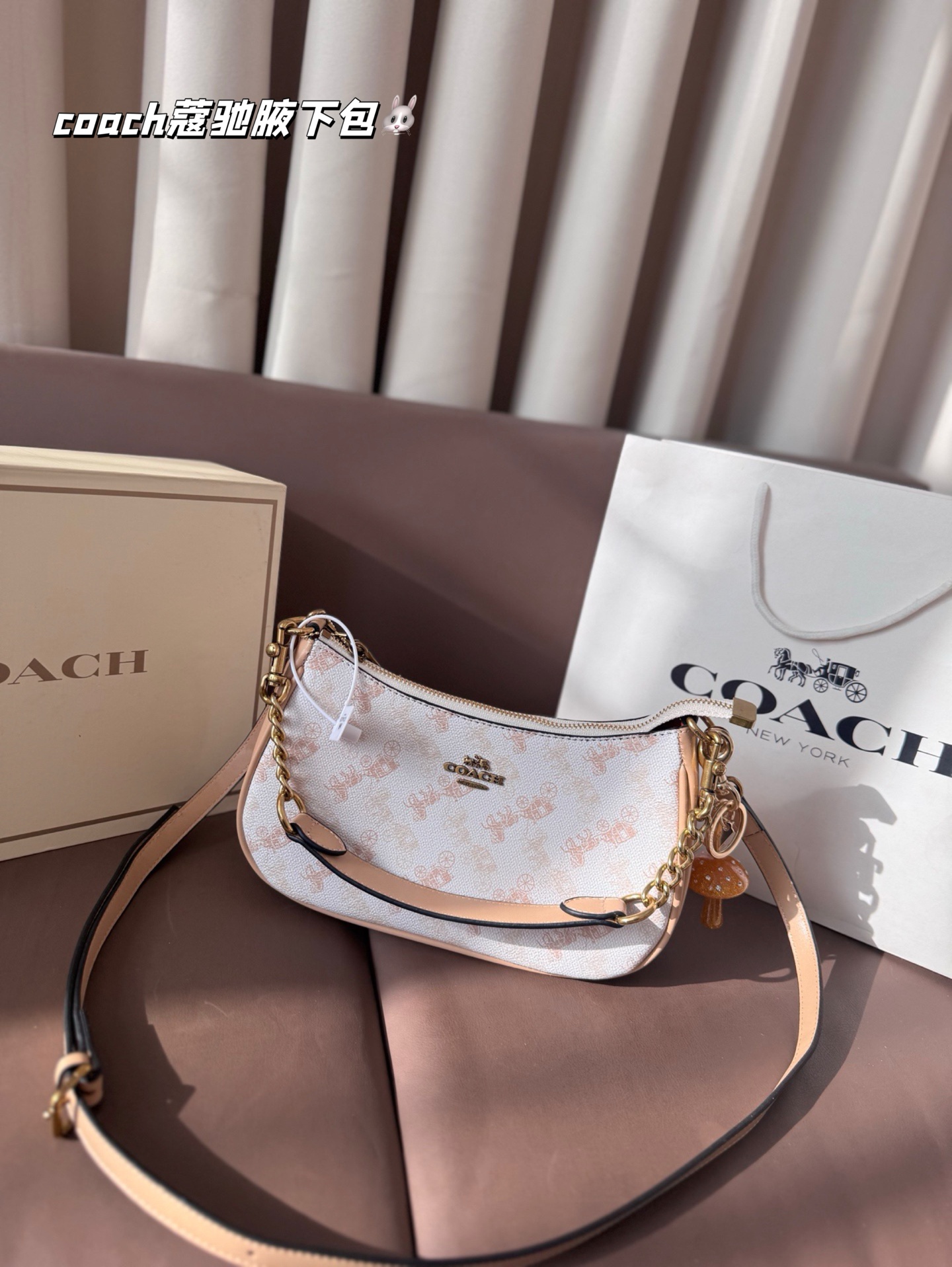 1:1 Replica COACH bag size 25*13 — Premium Replica