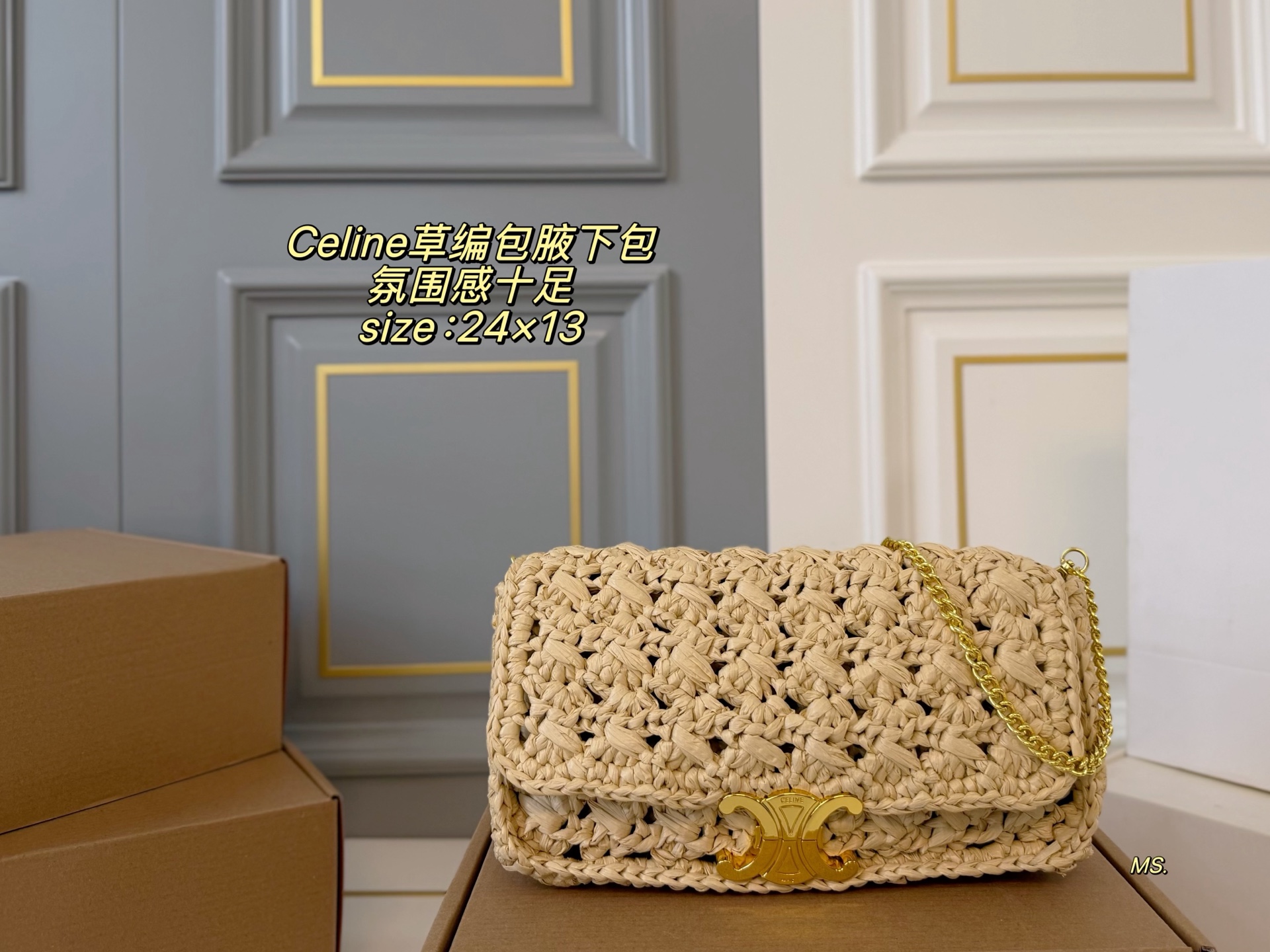 1:1 Replica Celine bag (with box) — Premium Replica
